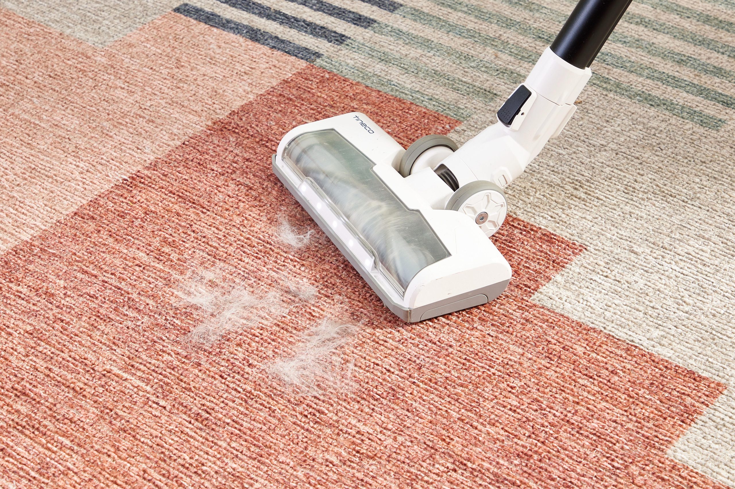 Where to get carpet cleaning services